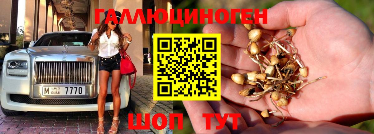 Самара  Галлюциногенные грибы MAGIC MUSHROOMS  Галлюциногенные грибы прущие грибы  где купить наркоту  Вход с VPN 